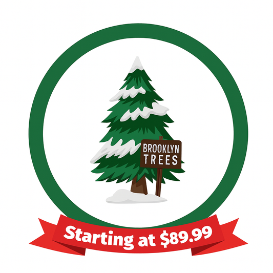 Christmas Trees - Fraser & Balsam Firs – Embrace Tradition