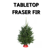 Load image into Gallery viewer, 2024 Fresh Cut Tree