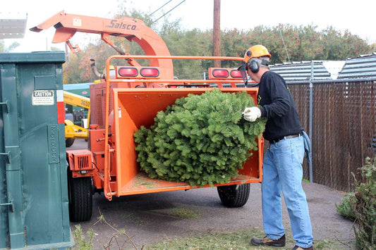 tree removal services 7-10 ft
