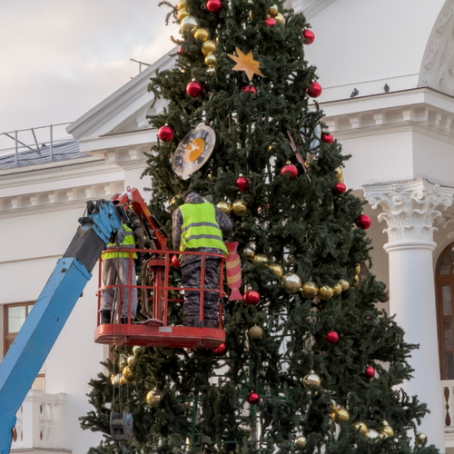 11' - 12' Tree Installation